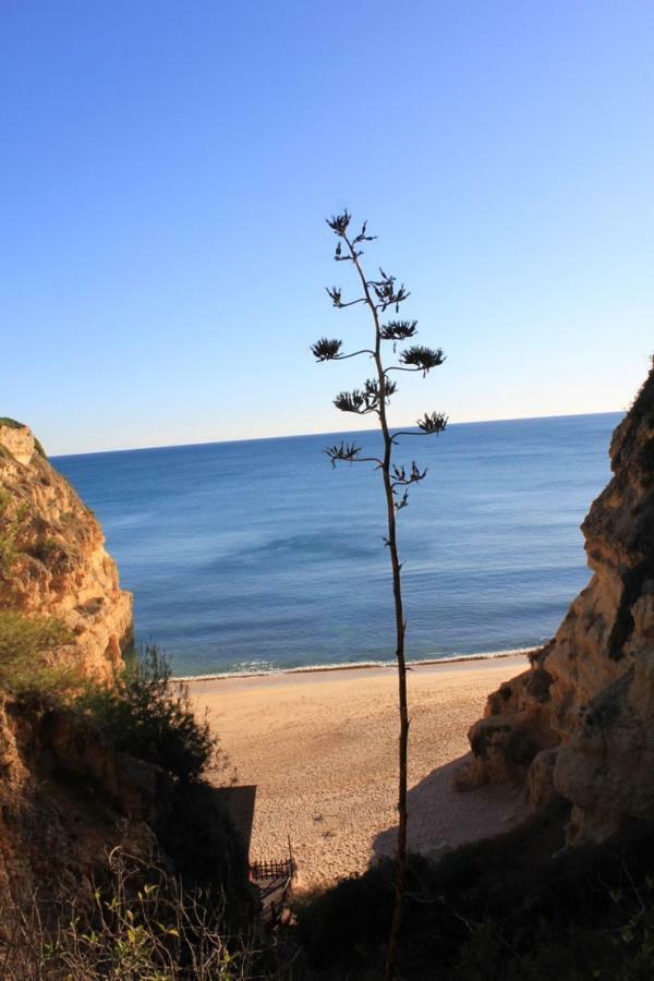 Apartamento Casa Carmen Albufeira